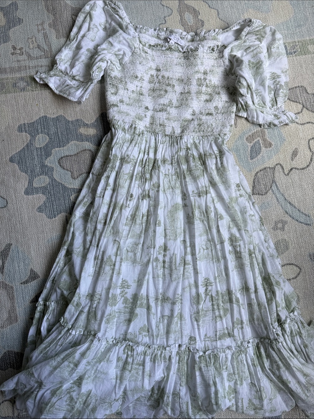 Ivy City Co Smocked Puff-Sleeve Dress in Sage Toile
